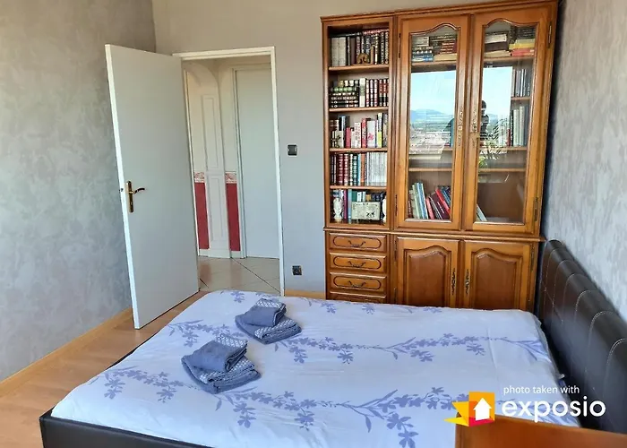 Bel Appartement Avec Vue Splendide Sur Toute La Ville De Colmar - Parking Gratuit